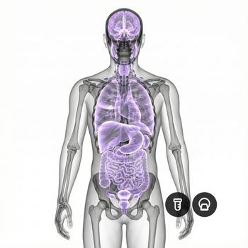 MRI Full body Plus