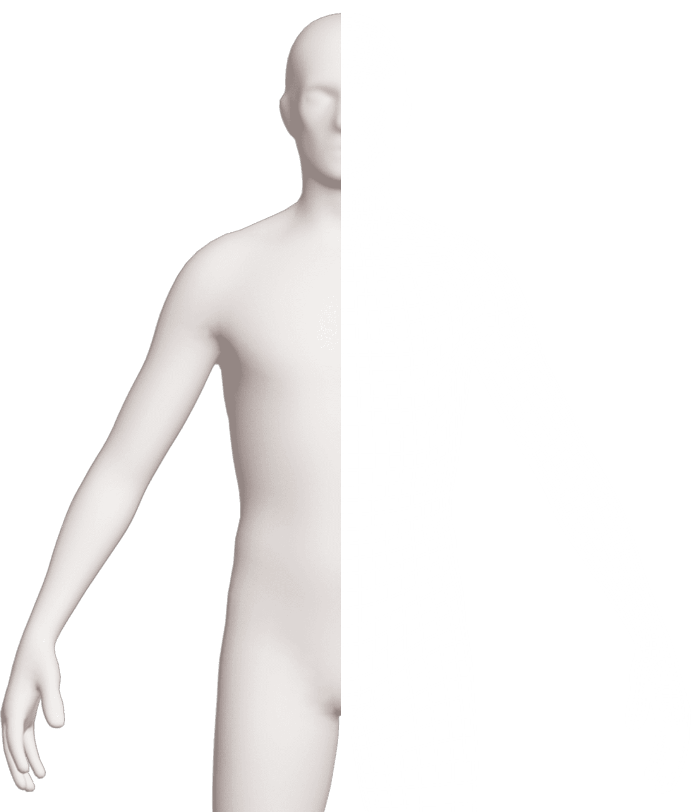 Det här ingår i helkroppsscreeningen