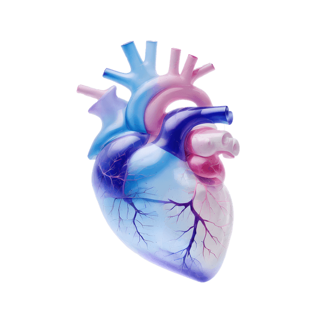 Heart and vascular tests