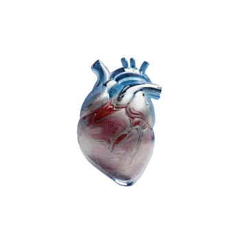 Heart and vascular test