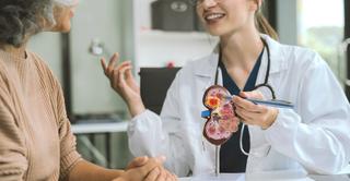 eGFR and kidney function – How to interpret your kidney values